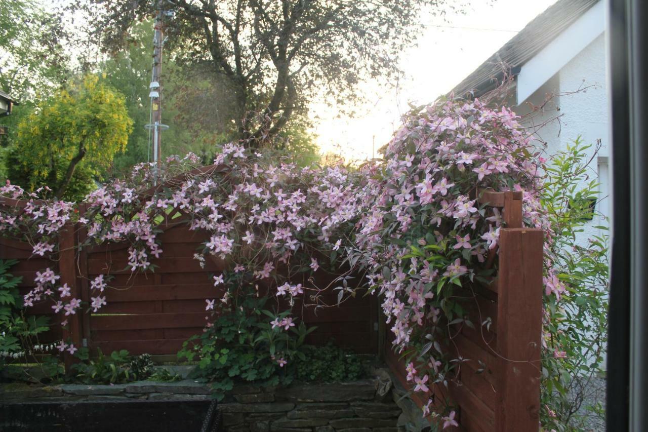 Meadowside Cottage Bassenthwaite Lake Exterior foto
